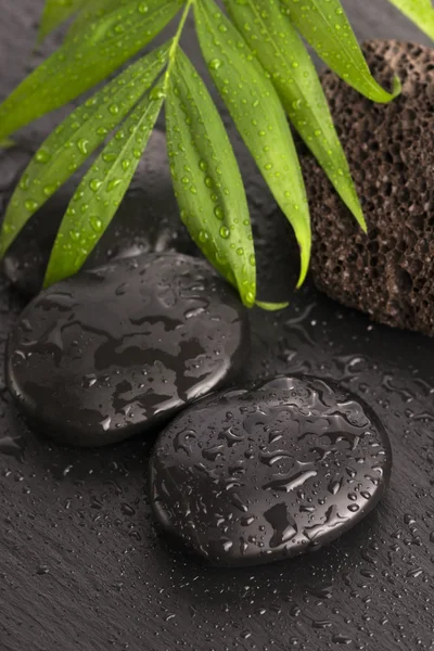 Πράσινο φύλλο στην πέτρα spa στην υγρή μαύρη επιφάνεια — Φωτογραφία Αρχείου