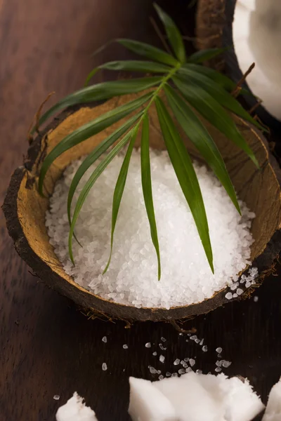 Bagno di cocco. cocco con sale marino — Foto Stock