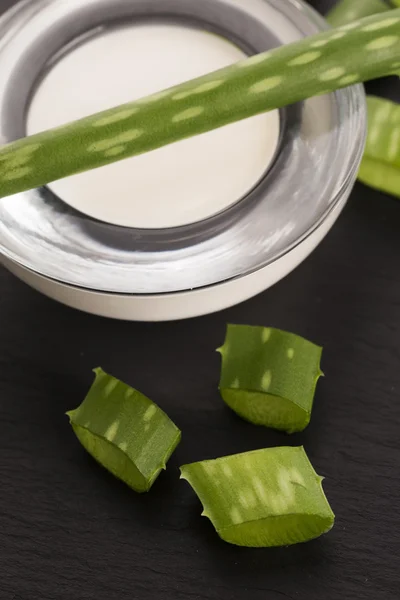 Aloe vera - foglie e crema — Foto Stock