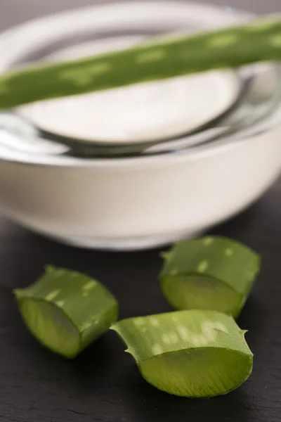 Aloe Vera ใบและครีม — ภาพถ่ายสต็อก