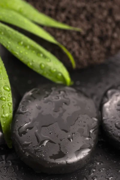 Hoja verde sobre piedra balneario sobre superficie húmeda negra —  Fotos de Stock