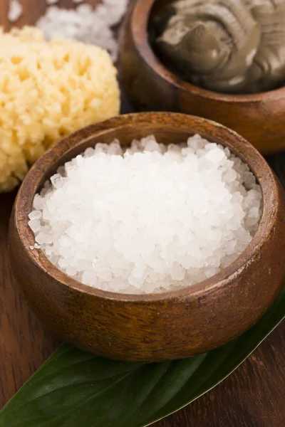 Dead Sea mud and salt in a bowl — Stock Photo, Image