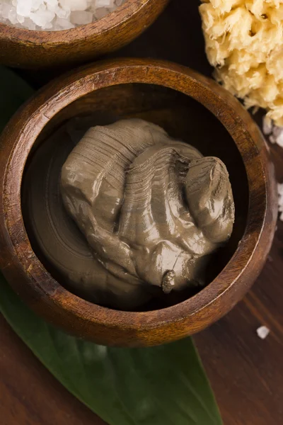 Dead Sea mud and salt in a bowl — Stock Photo, Image