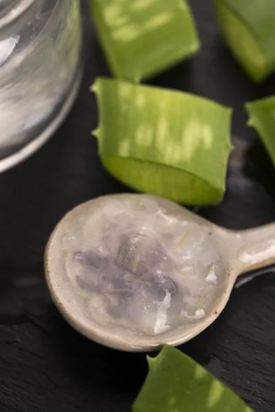 Aloe vera juice with fresh leaves — Stock Photo, Image