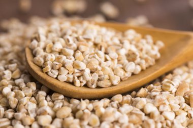 Arpa kabuğu çıkarılmış tane tahta kaşık üzerinde