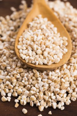 Arpa kabuğu çıkarılmış tane tahta kaşık üzerinde