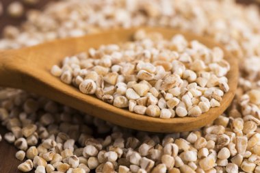 Arpa kabuğu çıkarılmış tane tahta kaşık üzerinde