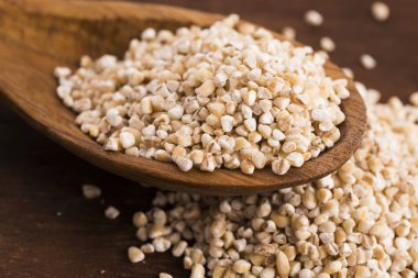 Arpa kabuğu çıkarılmış tane tahta kaşık üzerinde