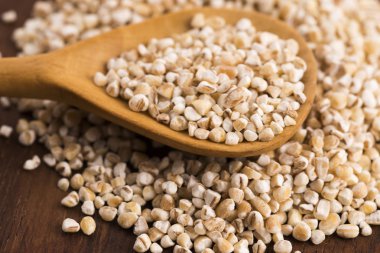 Arpa kabuğu çıkarılmış tane tahta kaşık üzerinde