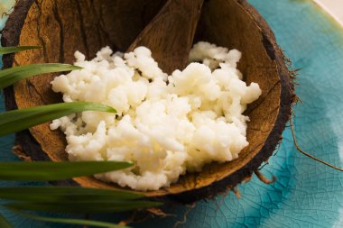 Organik probiyotik süt kefir taneleri