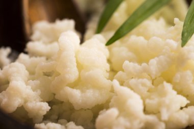 Organik probiyotik süt kefir taneleri