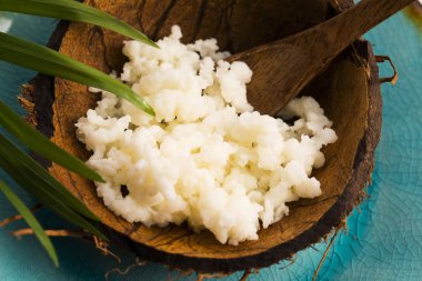 Organik probiyotik süt kefir taneleri