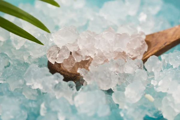 Water kefir grains — Stock Photo, Image