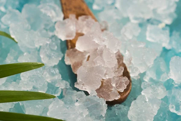 Water kefir grains — Stock Photo, Image