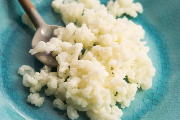 Biologische probiotische melk kefir granen — Stockfoto