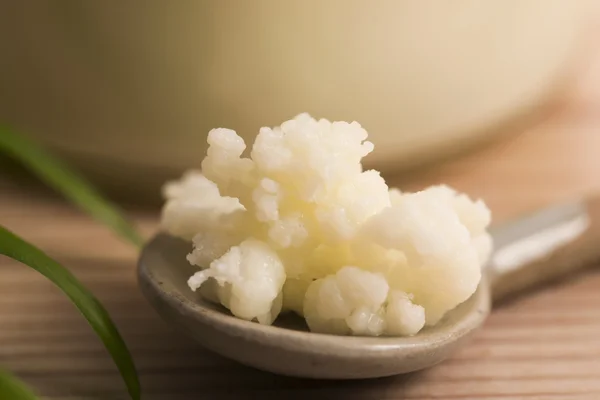 Organic probiotic milk kefir grains — Stock Photo, Image