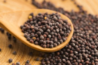 kahverengi hardal tohumu