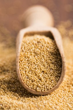 Beyaz haşhaş tohumu