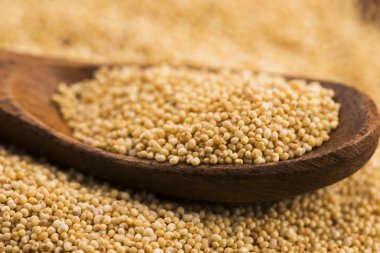 Beyaz haşhaş tohumu