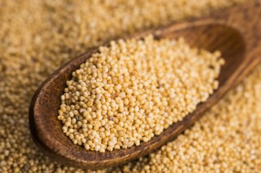 Beyaz haşhaş tohumu