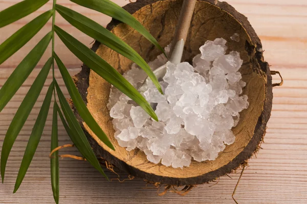 su kefir taneleri