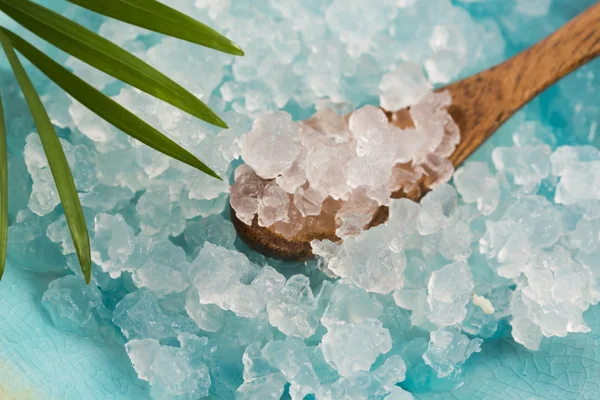 su kefir taneleri