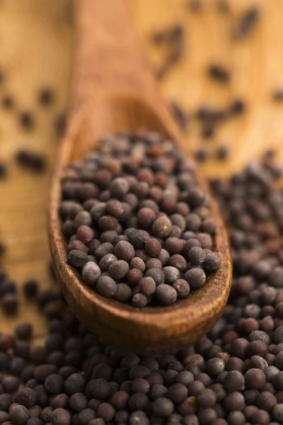 Brown mustard seeds — Stock Photo, Image