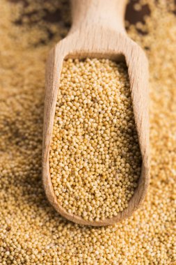 Beyaz haşhaş tohumu