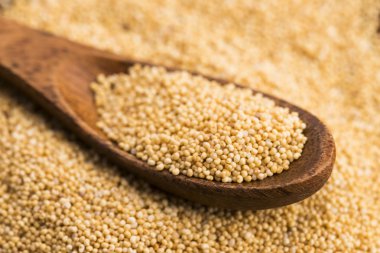 Beyaz haşhaş tohumu