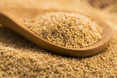 Beyaz haşhaş tohumu