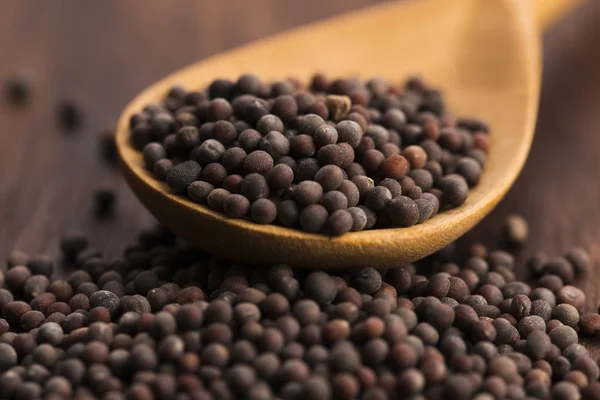 Brown mustard seeds — Stock Photo, Image