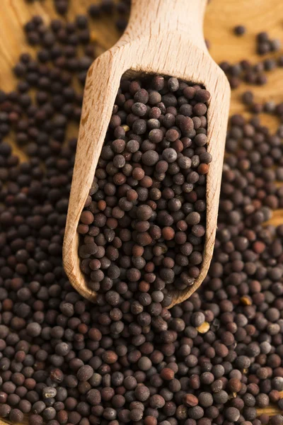 Brown mustard seeds — Stock Photo, Image