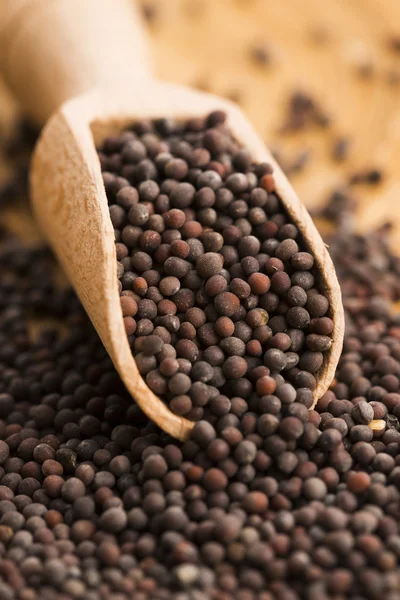 Brown mustard seeds — Stock Photo, Image