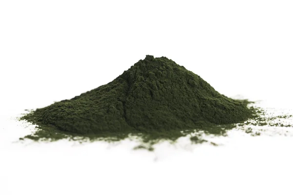 Yeşil chlorella — Stok fotoğraf