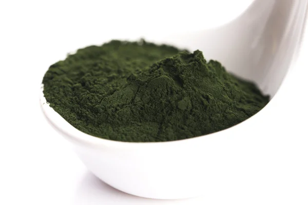 Green chlorella — Stock Photo, Image