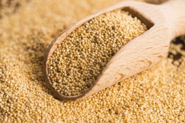 Beyaz haşhaş tohumu