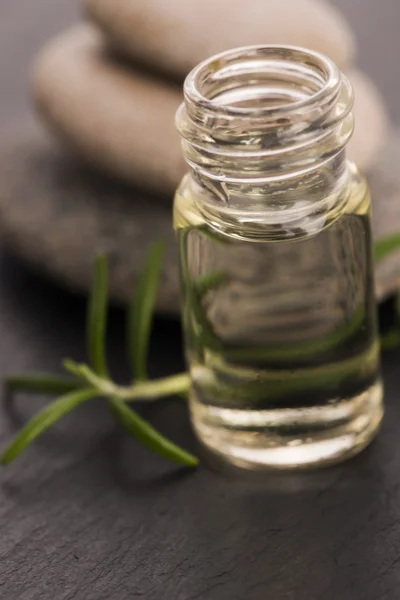 Essential oil with rosemary and fresh green leaves — Stock Photo, Image