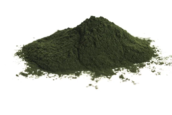 Зелений хлорела — стокове фото