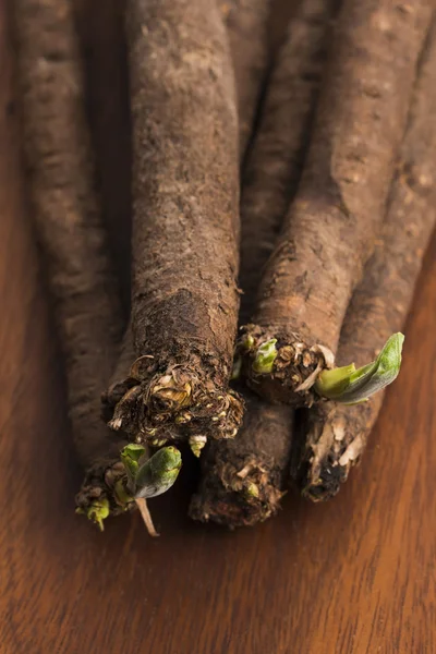 Salsyfikować warzywa na drewnie — Zdjęcie stockowe