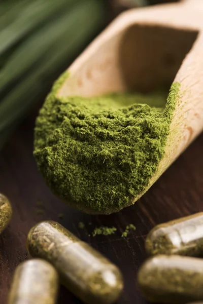 Jonge gerst gras. Detox superfood. — Stockfoto