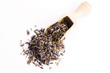 Lavanta Herb Bud çiçek çay izole yığın yığın yüzey Üstten Görünüm