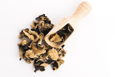 Asya kuru mantar yığın izole