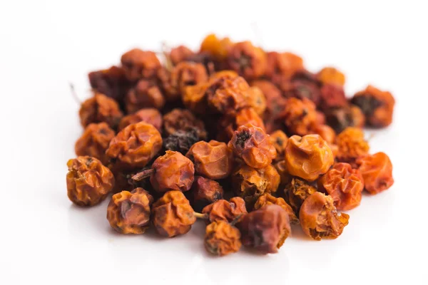 Dried rowan berries on a white background — Stock Photo, Image