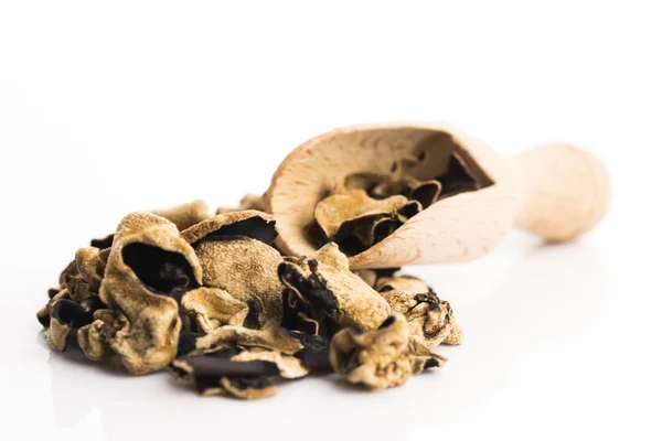 Asian dry mushrooms heap isolated — Stock Photo, Image