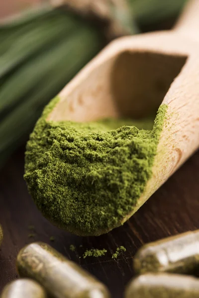 Jonge gerst gras. Detox superfood. — Stockfoto