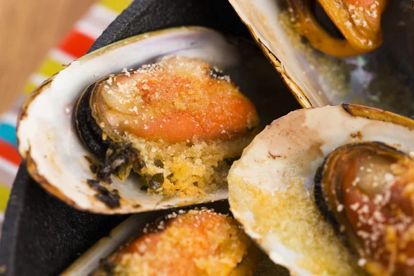 Deliciosas almejas frescas con hierbas — Foto de Stock