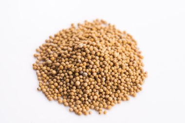 izole sarı hardal tohumu