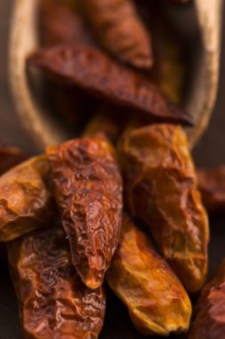 biber sıcak kuşlar göz