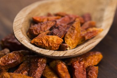 biber sıcak kuşlar göz