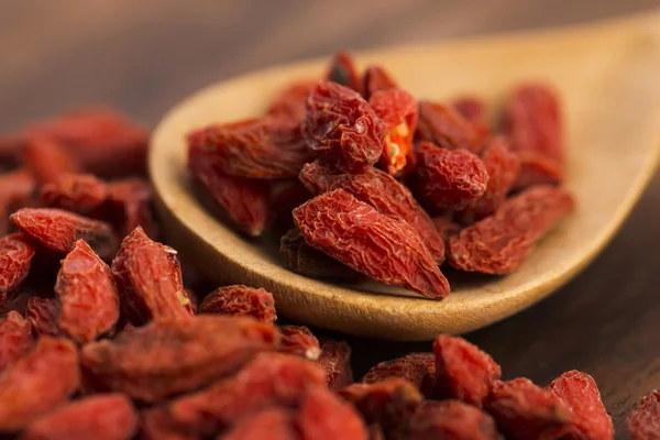 Baies de goji séchées — Photo